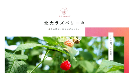 北大ブランドサイト