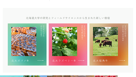 北大ブランドサイト