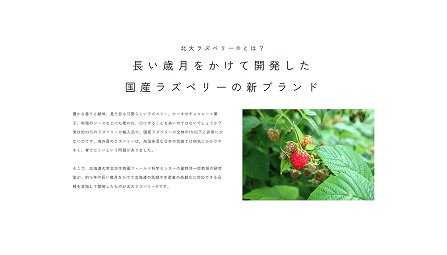 北大ブランドサイト