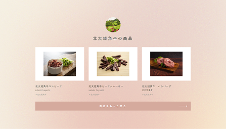 北大ブランドサイト